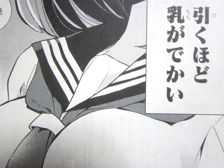 見たい見られたいの乳攻防戦 ギリギリ遮る片桐さん 第1巻 徒然なる一日 見たい見られたいの乳攻防戦 ギリギリ遮る片桐さん 第1巻 徒然なる一日