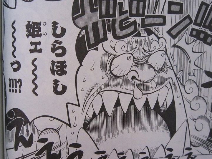 魚人達の悲惨な過去 One Piece 第63巻 徒然なる一日