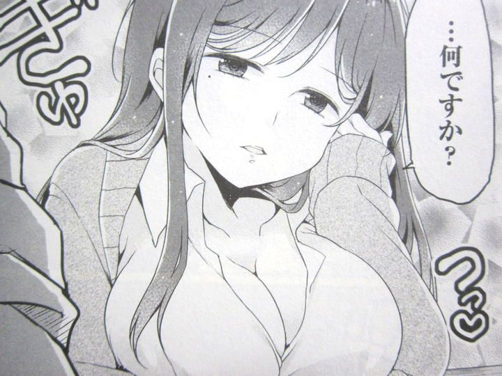 ヤるなよヤるなよ絶対ヤるなよことりちゃん_01_006