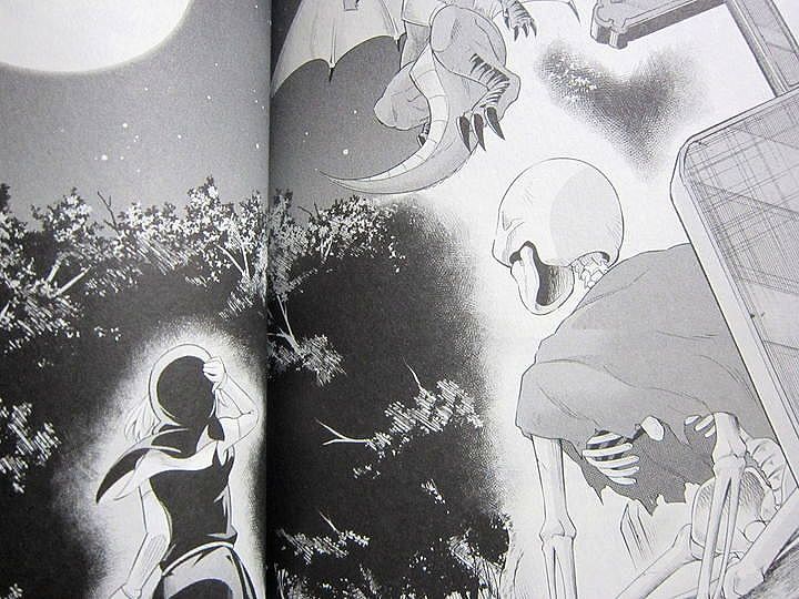 恐怖の魔竜とお掃除な日常 魔物たちは片付けられない 第1巻 徒然なる一日