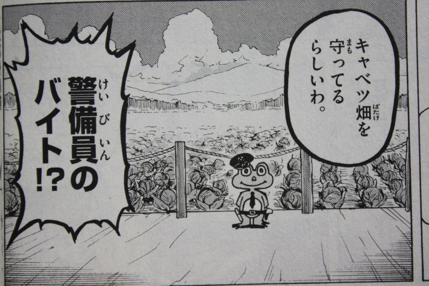 キャベツ太郎の謎を解き明かせ!】だがしかし 第2巻 : 徒然なる一日