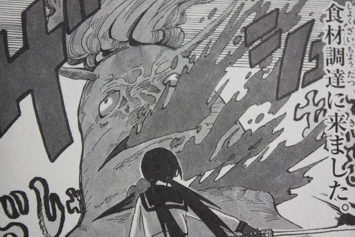 命を懸けて化け物となった食材と戦う Ryoko 第1巻 徒然なる一日