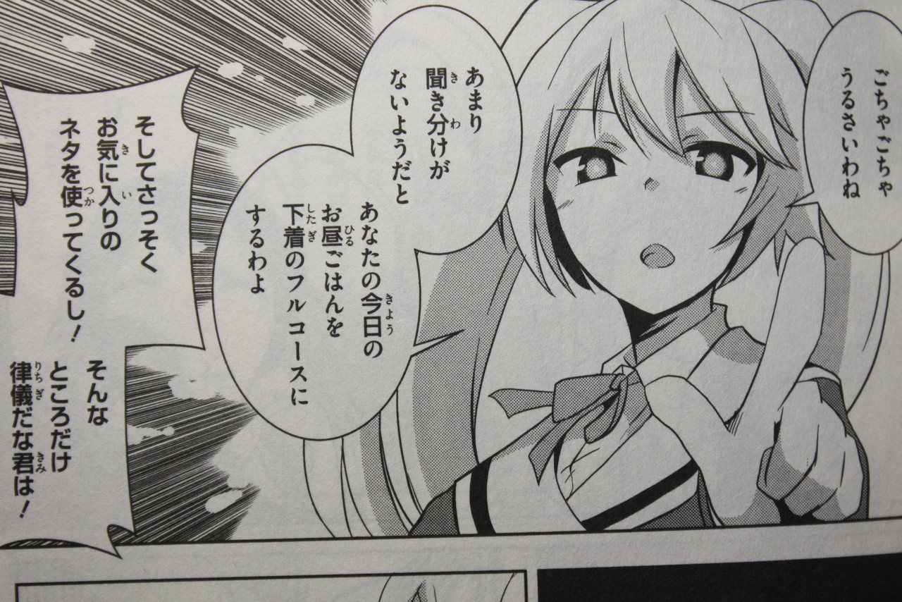 ブラコンヤンデレ化 お兄ちゃんだけど愛さえあれば関係ないよねっ 第3巻 コミックス版 徒然なる一日