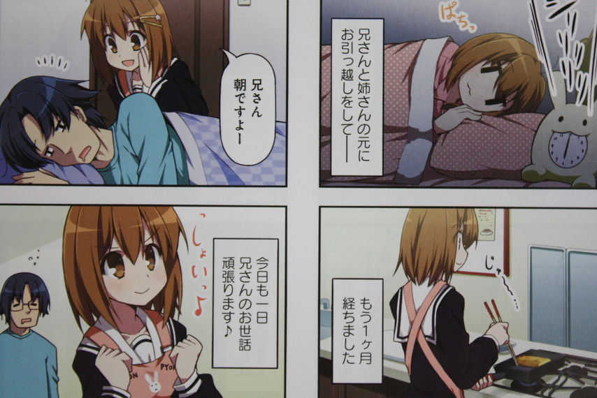 過剰過ぎるお世話をする可愛い妹 中原くんの過保護な妹 第1巻 徒然なる一日 過剰過ぎるお世話をする可愛い妹 中原くんの過保護な妹 第1巻 徒然なる一日