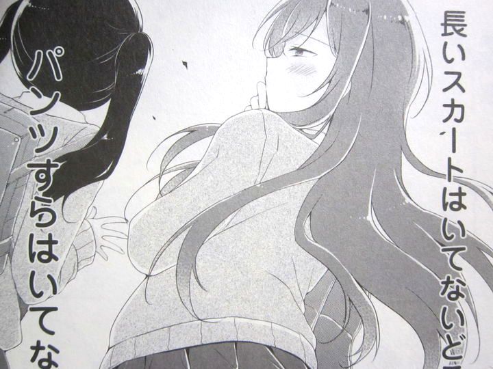 ヤるなよヤるなよ絶対ヤるなよことりちゃん_01_003