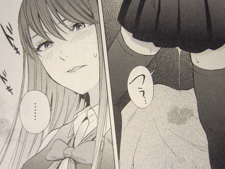 盗撮魔と緊縛師の倒錯過ぎる毎日 罪と快 第1巻 徒然なる一日 盗撮魔と緊縛師の倒錯過ぎる毎日 罪と快 第1巻 徒然なる一日