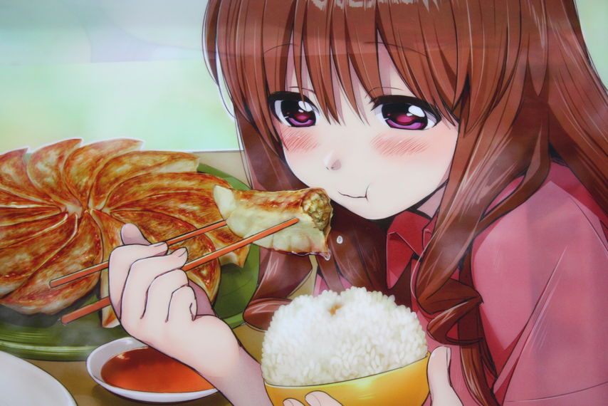 可愛くて強烈な飯テロ画集 幸腹グラフィティ画集 幸腹コレクション 徒然なる一日