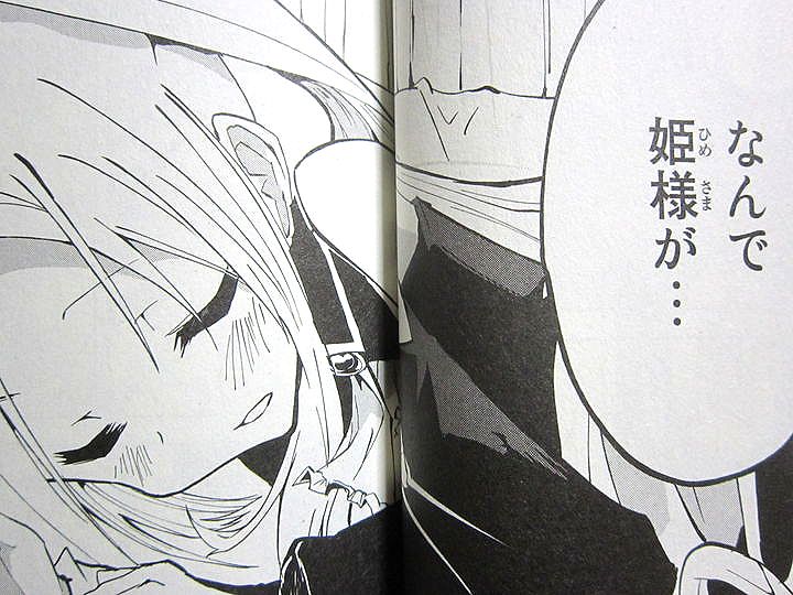 高貴な姫を奴隷に従えて戦う 奴隷姫 第1巻 徒然なる一日 高貴な姫を奴隷に従えて戦う 奴隷姫 第1巻 徒然なる一日