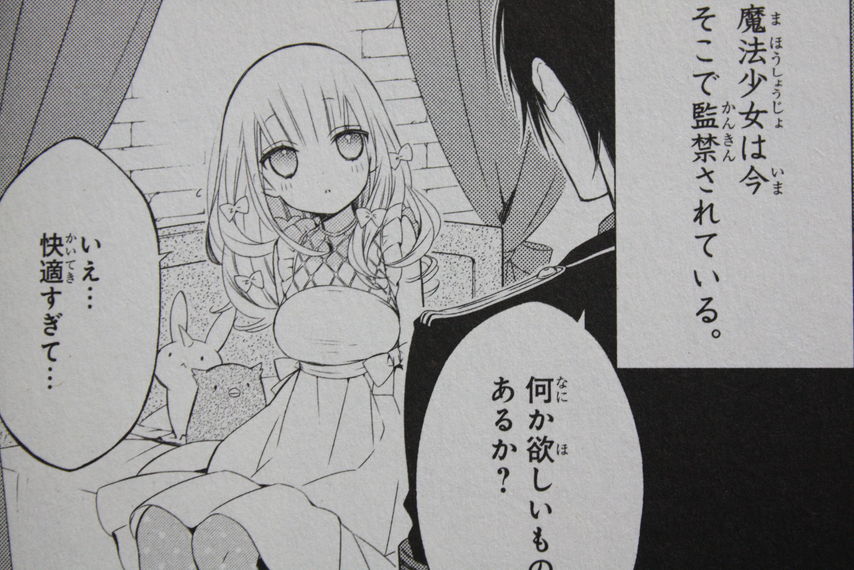 最早イチャラブ かつて魔法少女と悪は敵対していた 第3巻 徒然なる一日 最早イチャラブ かつて魔法少女と悪は敵対していた 第3巻 徒然なる一日