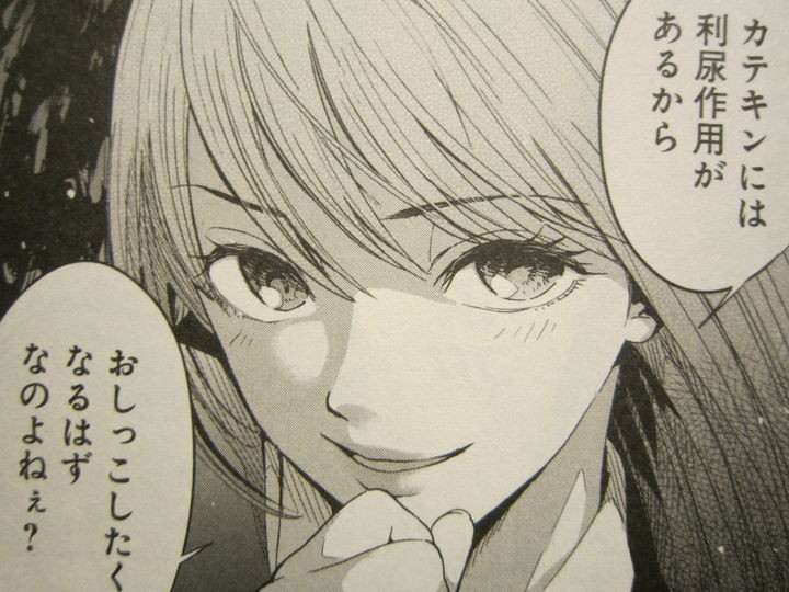 盗撮魔と緊縛師の倒錯過ぎる毎日 罪と快 第1巻 徒然なる一日 盗撮魔と緊縛師の倒錯過ぎる毎日 罪と快 第1巻 徒然なる一日