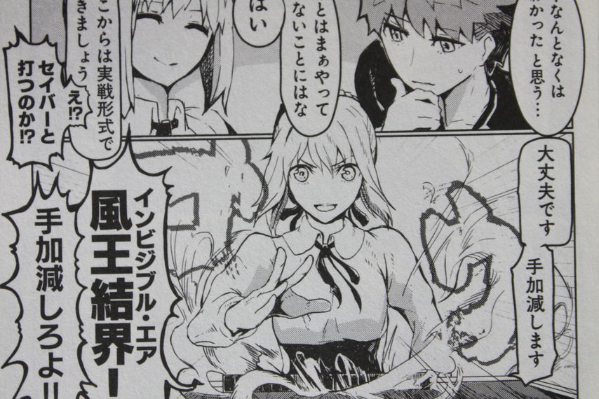 聖牌を巡る麻雀戦争 Fate Mahjong Night 聖牌戦争 第1巻 徒然なる一日