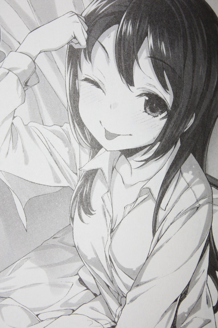 小鷹の残念な戦いはこれからだ 僕は友達が少ない 第8巻 徒然なる一日