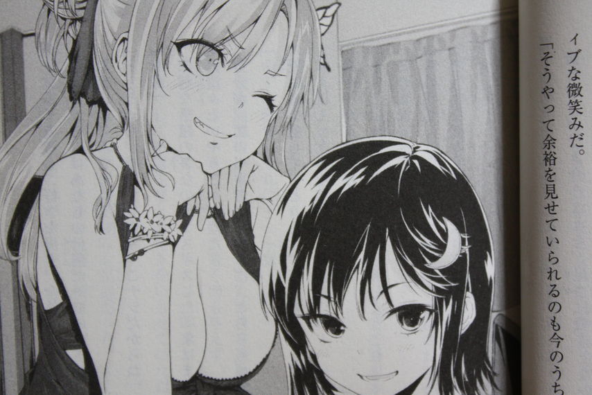 それぞれの決着と青春 僕は友達が少ない 第11巻 徒然なる一日