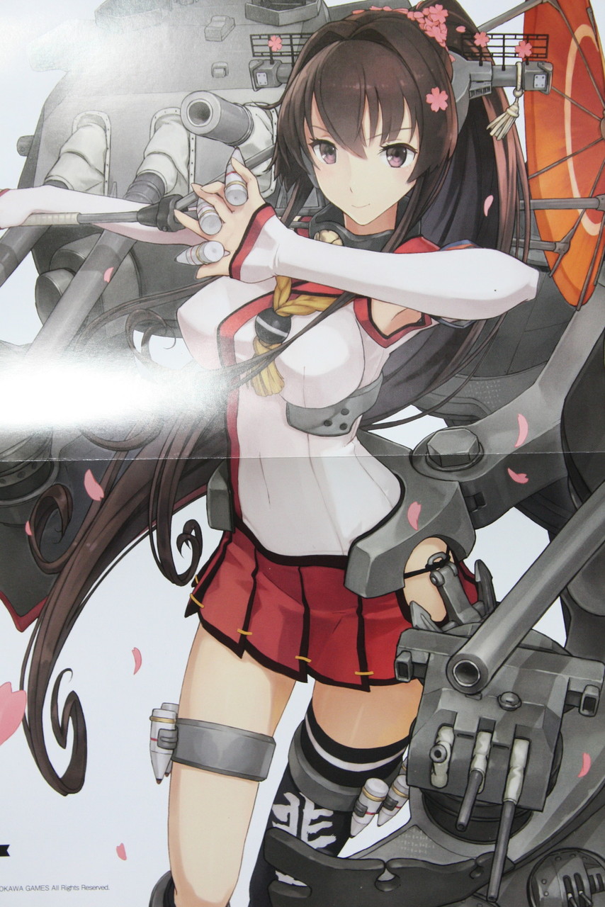 艦娘達の魅力と史実 艦これ白書 艦隊これくしょん オフィシャルブック 徒然なる一日