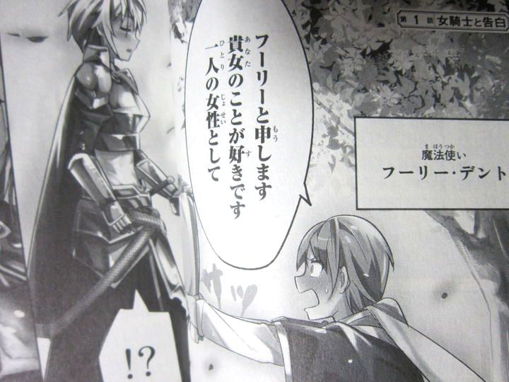 最強騎士の乙女模様 今まで一度も女扱いされたことがない女騎士を女扱いする漫画 第1巻 徒然なる一日