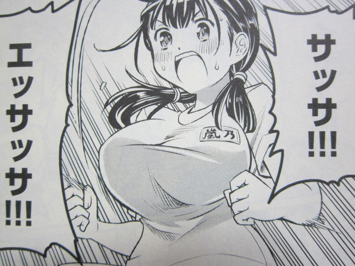 姉の心配に演舞で応える晴花 オッス はるかちゃん 第2巻 徒然なる一日 姉の心配に演舞で応える晴花 オッス はるかちゃん 第2巻 徒然なる一日