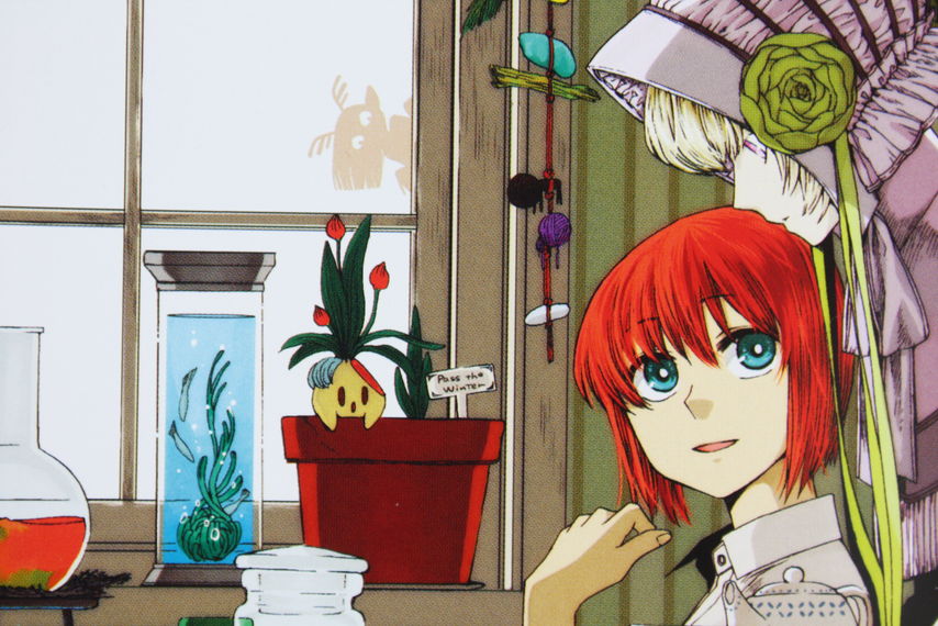 人外と少女と魔法使いと 魔法使いの嫁 第1巻 徒然なる一日