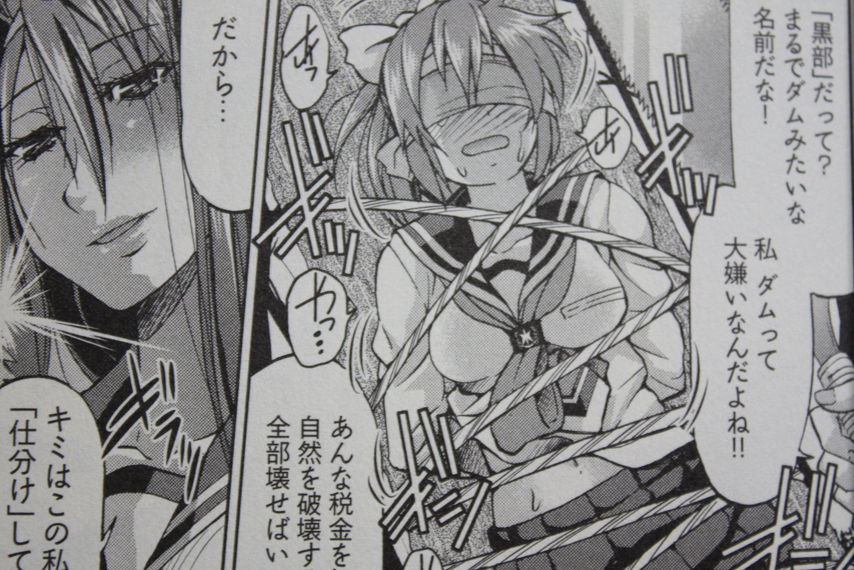 花の女子高生が語るダム愛 ダムマンガ 第1巻 徒然なる一日 花の女子高生が語るダム愛 ダムマンガ 第1巻 徒然なる一日