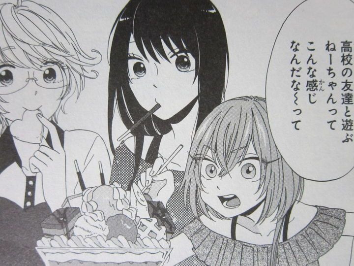 天敵な幼なじみ登場 うちの姉ちゃんときたら 第2巻 徒然なる一日