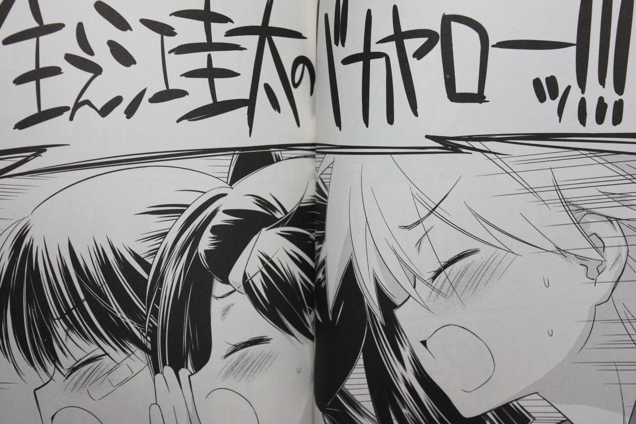 キスシス エロ エロ妄想!W手コキ!放尿!】Kiss×sis 第12巻 : 徒然なる一日