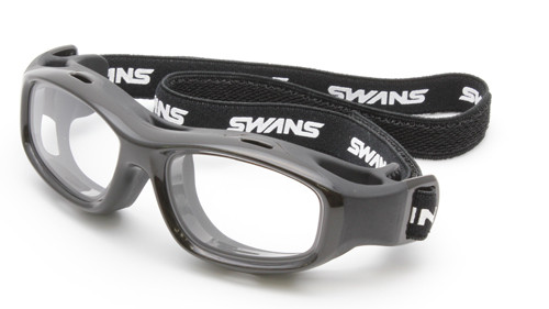 swans2