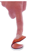 z-test2