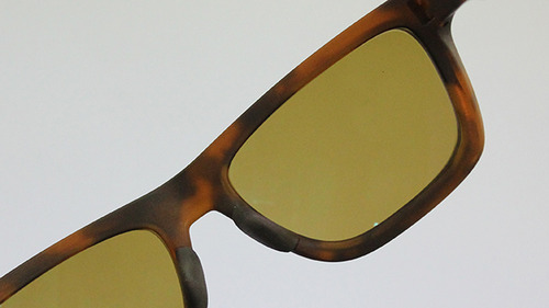 oakley2006