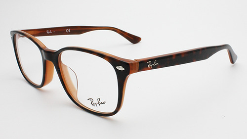rayban269