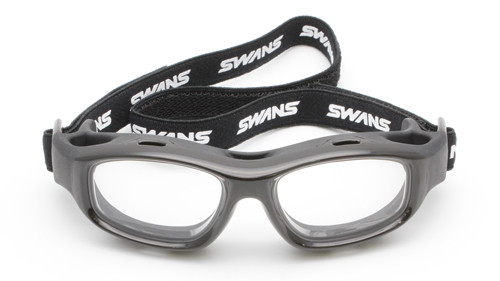 swans5