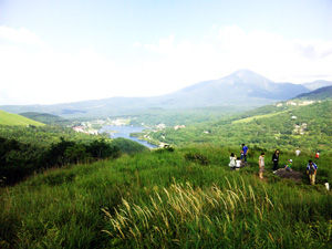 shirakaba3