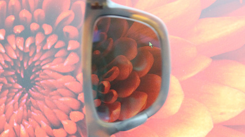 oakley2009
