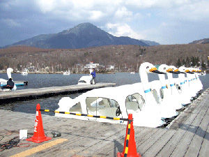 shirakaba2