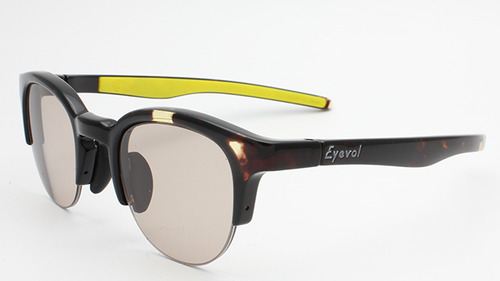 eyevol2