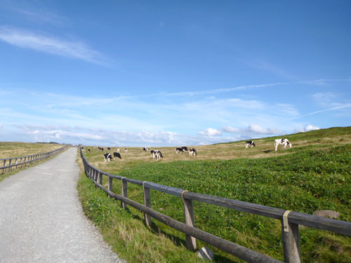 utsukushi3