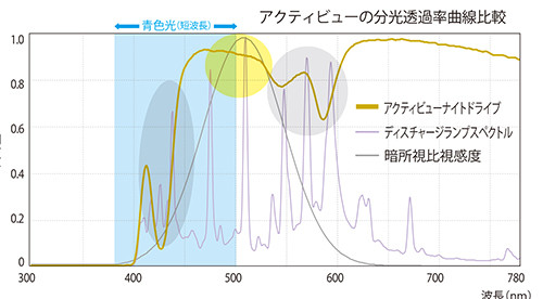 ナイトドライブ_B5_説明POP+3