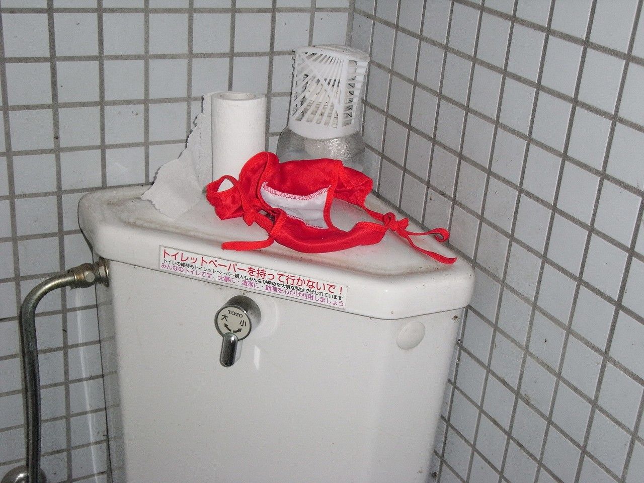 トイレ　パンティ 