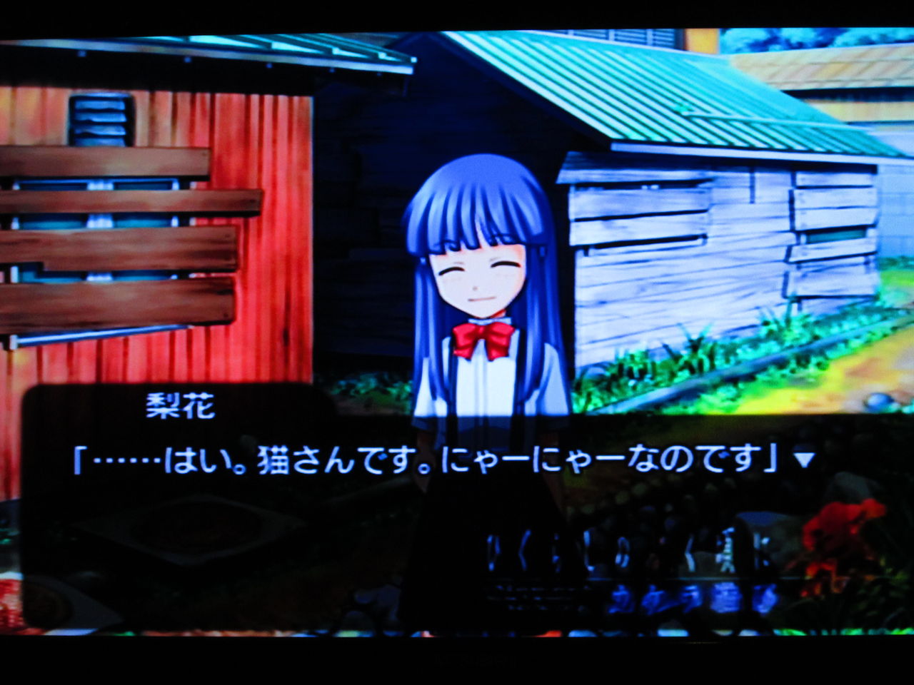 ボクが好きなセミはツクツクボウシちゃん 鉛のこやし玉