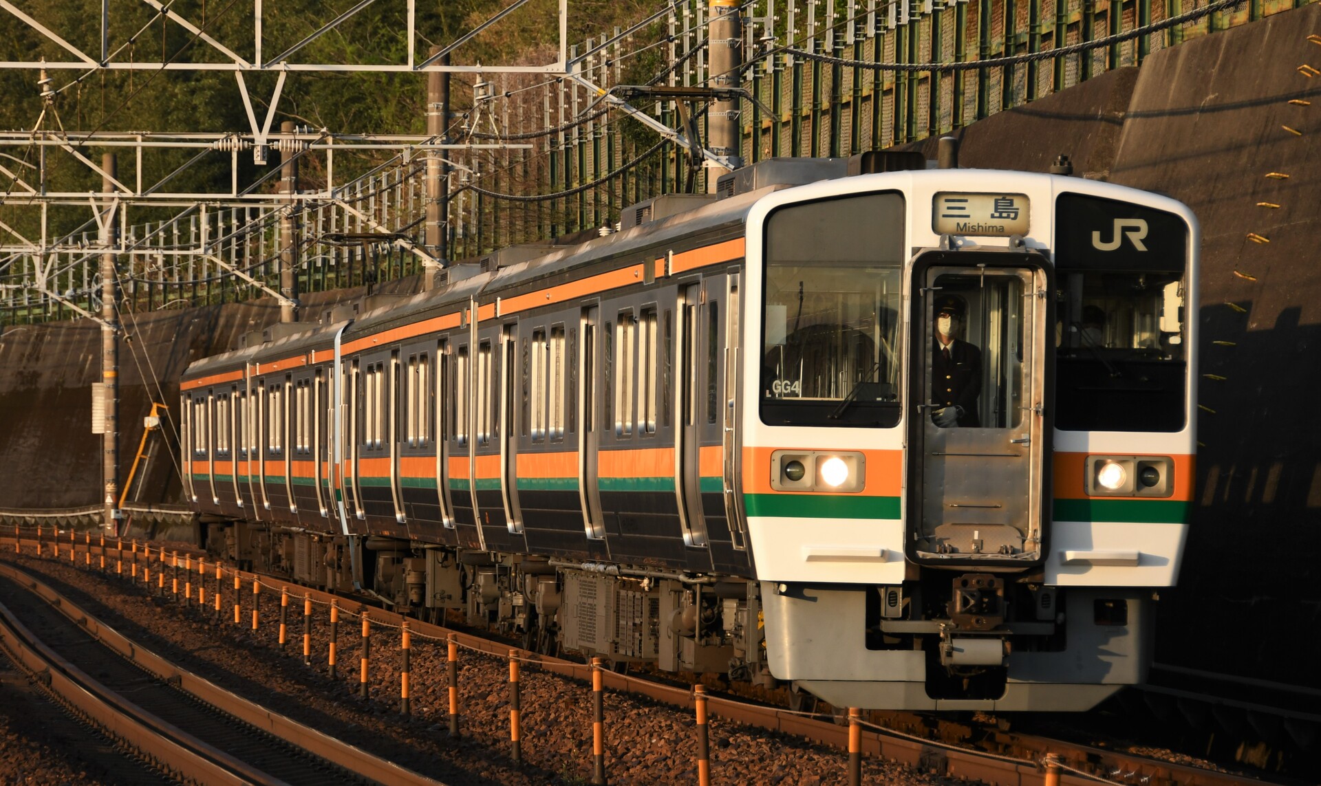 【4月5日】JR東海道本線（静岡地区）211系「普通」、373系「ホームライナー」の撮影 山紫水明な景色を求め