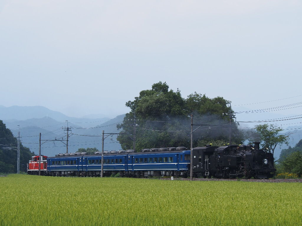 イメージ 8