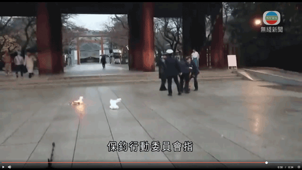 20181212145008No0000