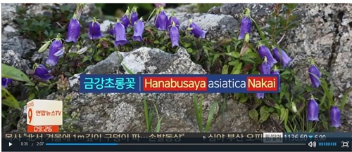 AKR20181228073200371_01_i_P2