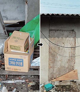 20110901003219_0.jpg
