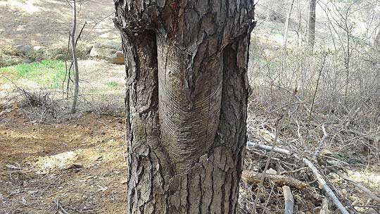 art_1450844723
