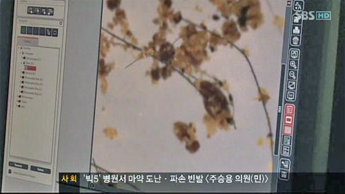 SBS_jinniku0005.jpg SBS_jinniku0005.jpg