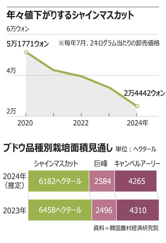 2024081380011_1