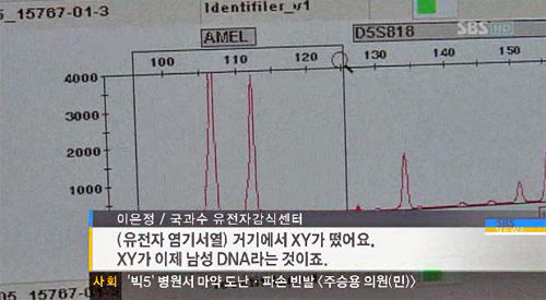 SBS_jinniku0006.jpg SBS_jinniku0006.jpg