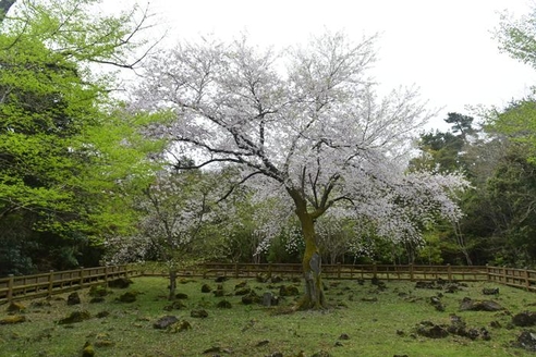 2019041600763_5