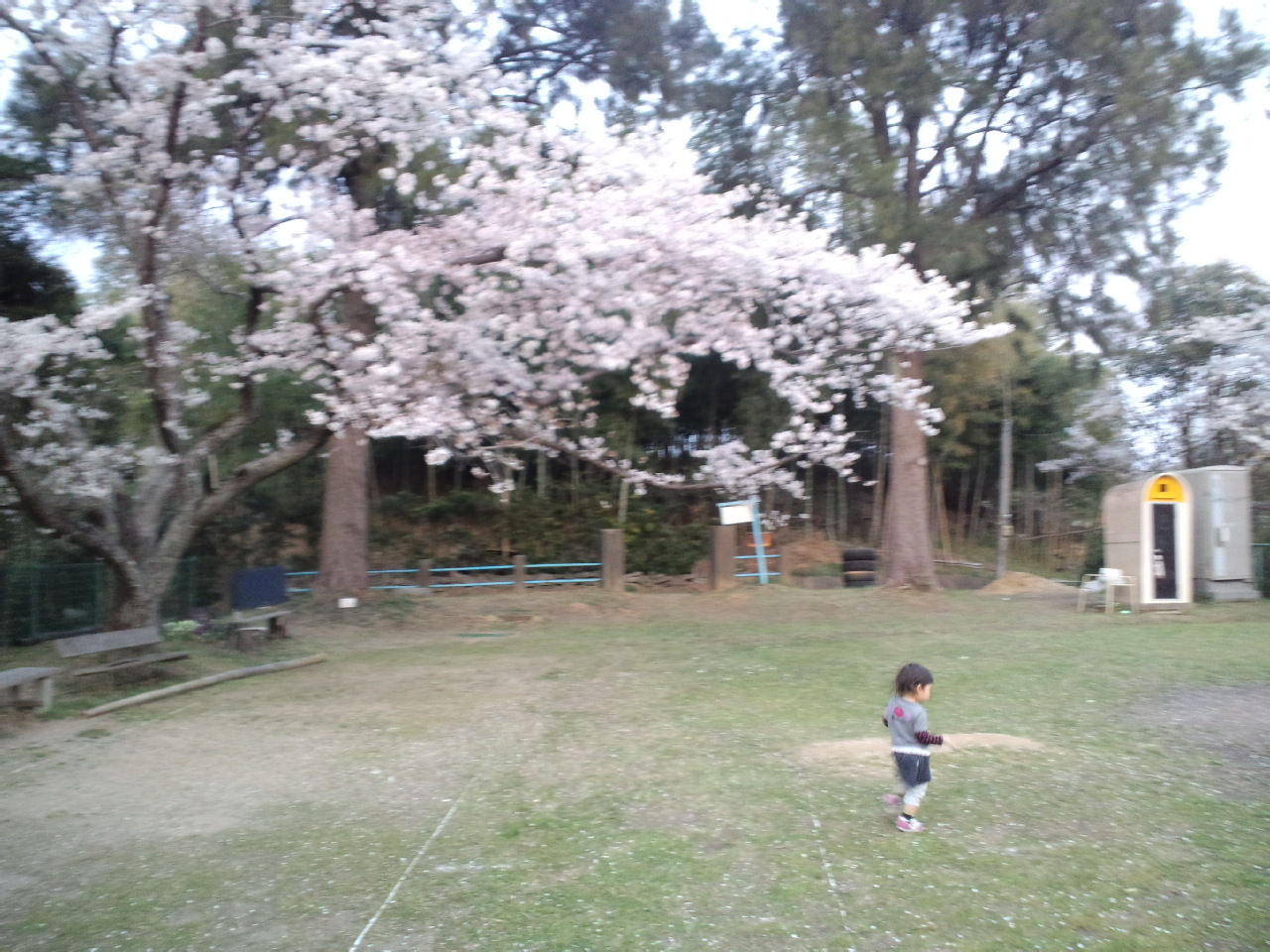 イメージ 2