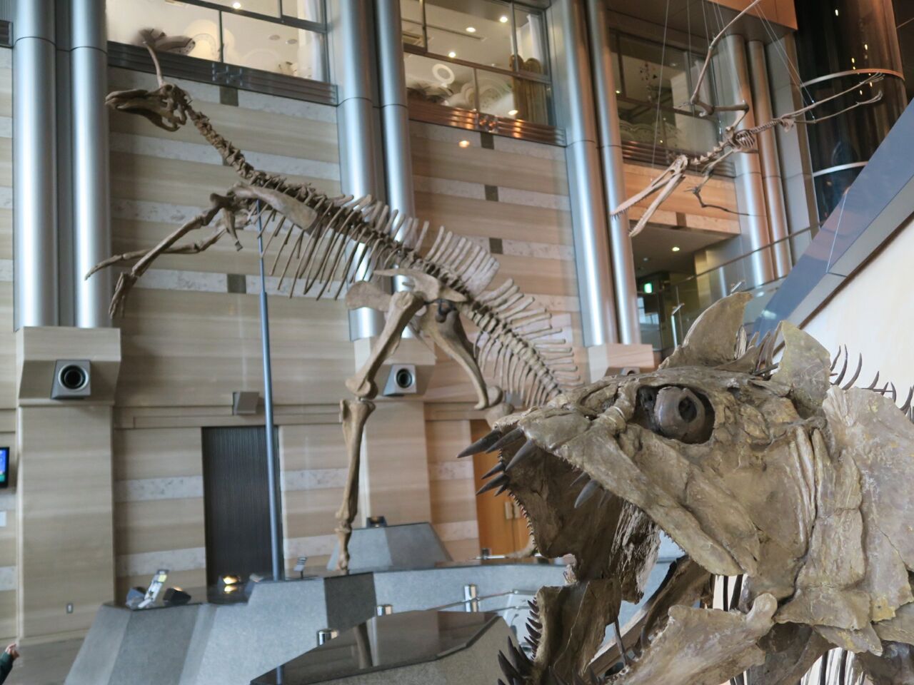 生命の星 地球博物館 恐竜も昆虫も動物も 地球の事を全て学べる博物館へ行ってきました へなチキ生活のすすめ
