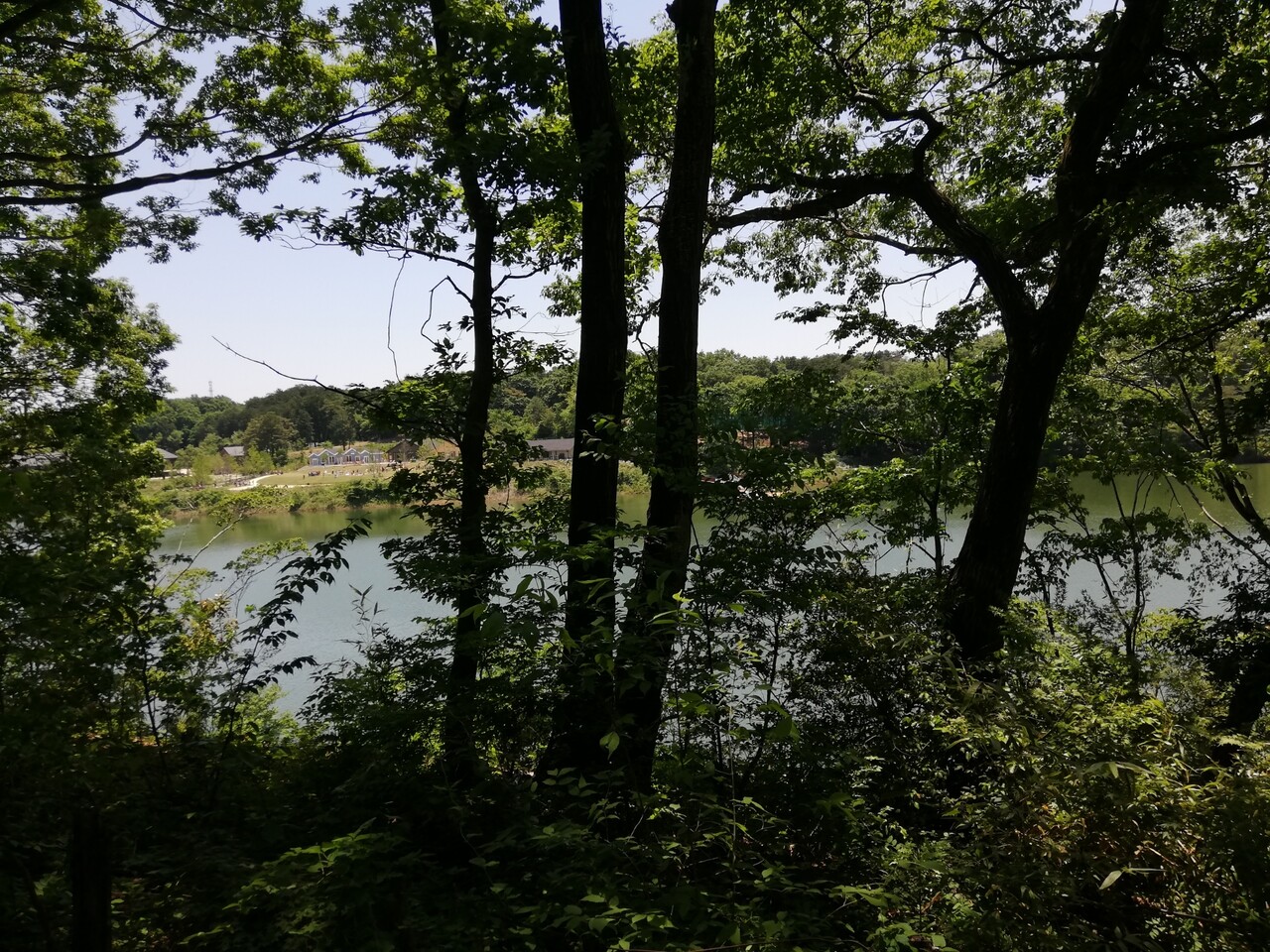 おもいつかへん 宮沢湖 埼玉県飯能市大字宮沢